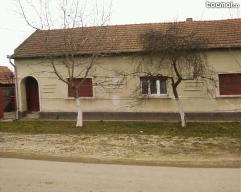 casa in gavojdia langa lugoj 1