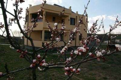 Mogosoaia, vila deosebita, spatioasa, 140000e