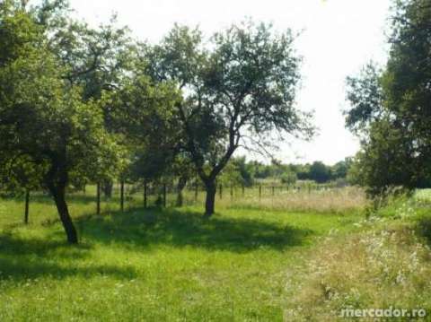 teren intravilan pt casa de vacanta recea ( aproape de muntii fagaras) 1