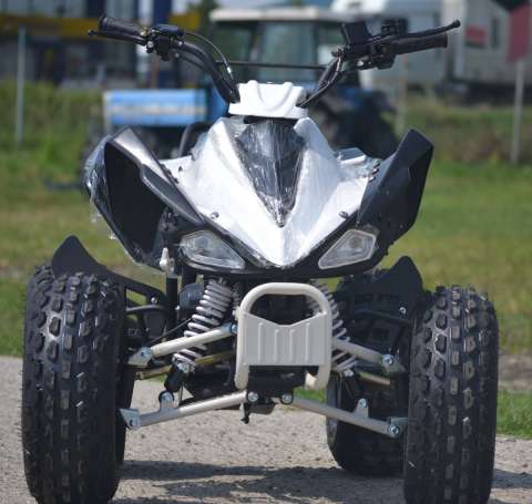 atv raptor import germany 1