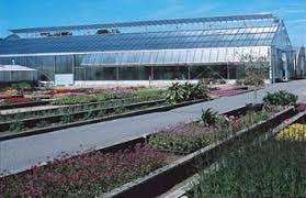 Uj!Zoldsegbegyujtes Nemetorszagban