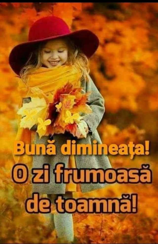 Despre produse naturiste My Daily Choice