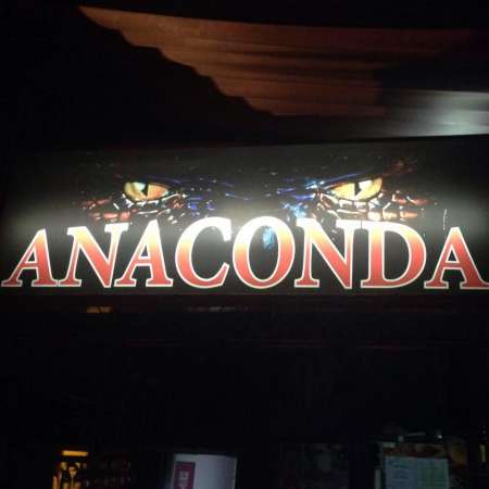 ospatarita, dansatoare