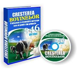 Crestere Bovine pentru Profit