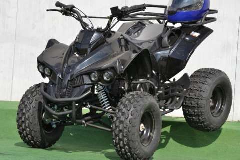 ATV Renegade Cannion 125 