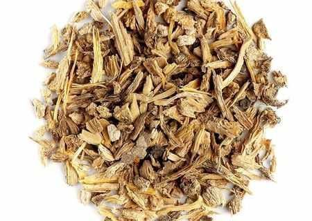 Angelica radacina uscata vrac en- gros si en- detail