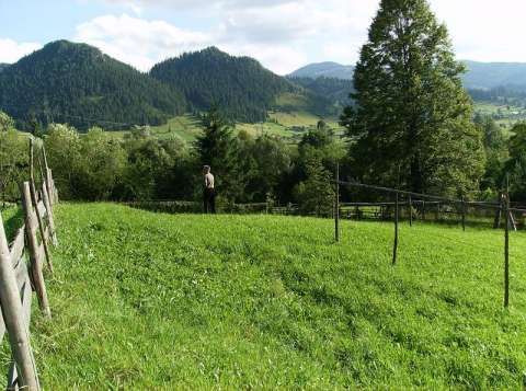 teren in pojorata ( bucovina) la pret atractiv 2