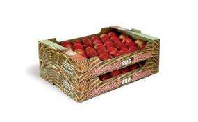 Muncitor fabrica Germania