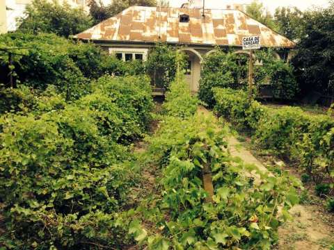 casa de vinzare