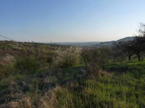 vind teren intravilan podgoria, oradea 6