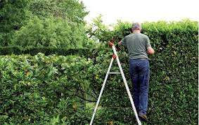 Gradinarit,tuns iarba in Germania 