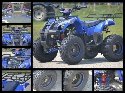 atv grizzly 3+ 1 treapta de forta, importat din germania 4