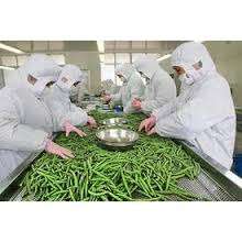 angajam sortatori Germania