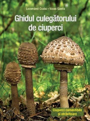 champignon in sistem intensiv 11