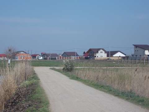 Terenuri intravilane+utilitati la lot/Berceni-Ilfov