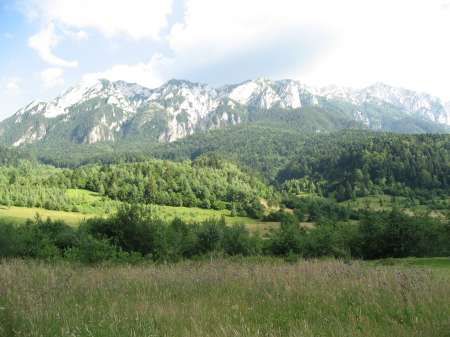 teren intravilan zarnesti - plaiul foii, zona sub bortila, m2 cu deschidere 57 m direct la drumul spre cabana plaiul foii 7