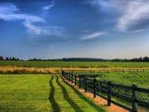 EXPERTIZA DOVEDITA CONSULTANTA ACHIZITII PUBLICE DE PESTE 10 ANI IN DOMENIUL PUBLIC / MEDICAL