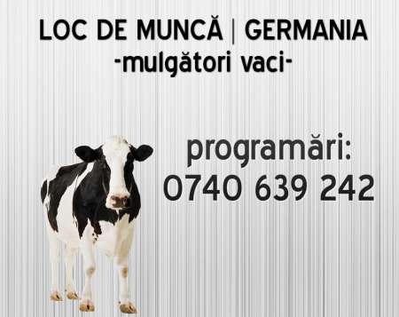 Mulgator vaci â€“ Germania 1300E 