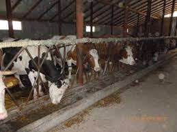 Vonzo munkahelyek Nemetorszagban 