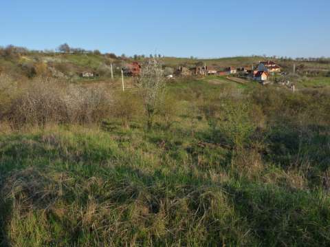 vind teren intravilan podgoria, oradea 1