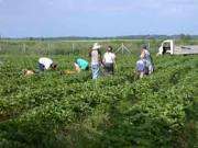 Agricultura si ferme Italia 