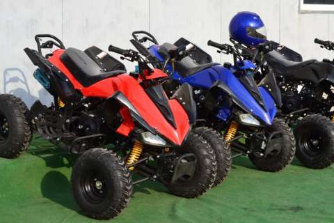 atv raptor grow 125 2