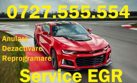 Anulare Dezactivare EGR Ã¢â‚¬â€œ Valva EGR orice model