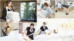 domeniul hotelier italia - darabani