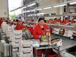 Salarii atractive fabrici Germania