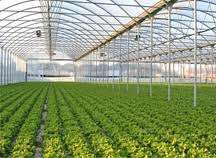 Agricultura Sere 1300 euro Germania 