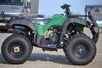 atv mega grizzly 250 cc 1