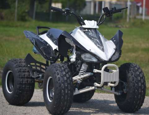 atv raptor import germany 2