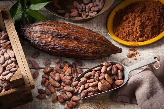 procesare  cacao germania 
