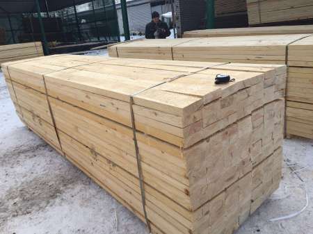 lemn pin import ucraina 6
