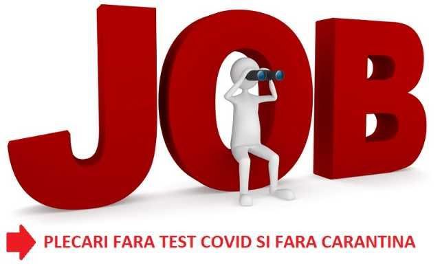 oferta la fabrica de napolitane 1600 euro 