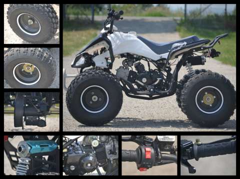 atv raptor import germany 3