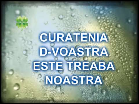 curatenie Dr.Tr.Severin