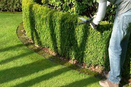 A venit primavara! Cautam ajutor Gradinarit Austria