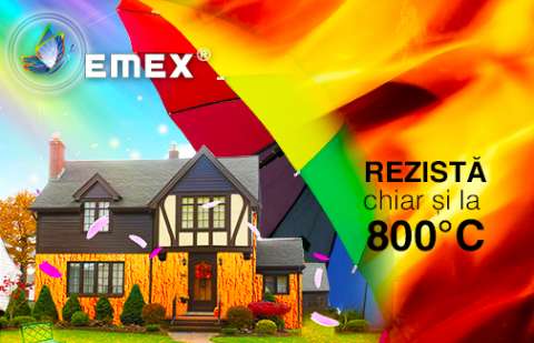 Vopseaua Termorezistenta - EMEX TRS