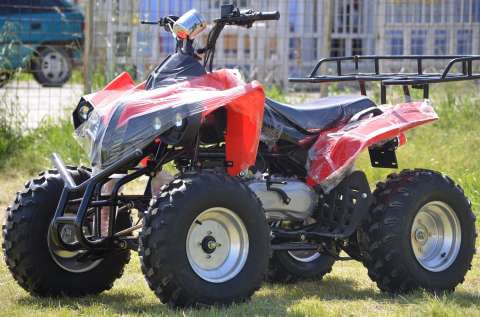 atv warrior 10 " offroad 3