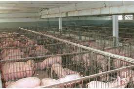 ofertele lunii septembrie Germania 