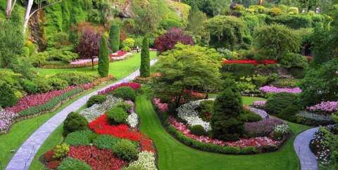 OFERIM SANSA DE ANGAJARE 