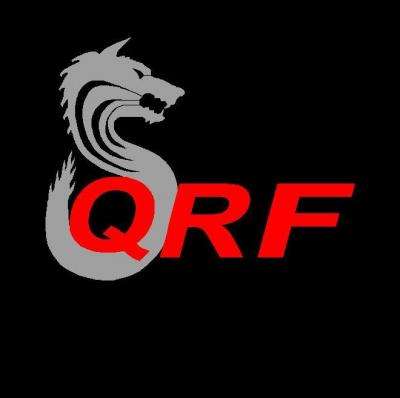 Logo SILVER QUICK REACTION FORCE