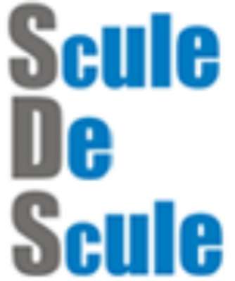 Logo SculeDeScule.ro