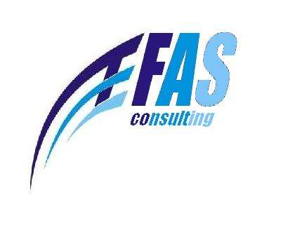 Logo EFAS CONSULTING