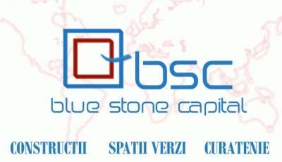 Logo BLUE STONE CAPITAL