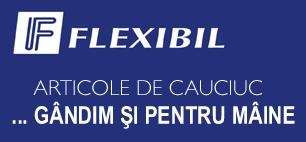 Logo FLEXIBIL