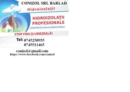 Logo CONIZOL