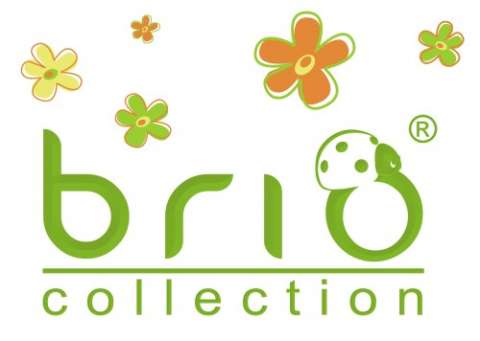 Logo BRIO DESIGN