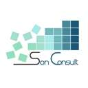 Logo SON CONSULT